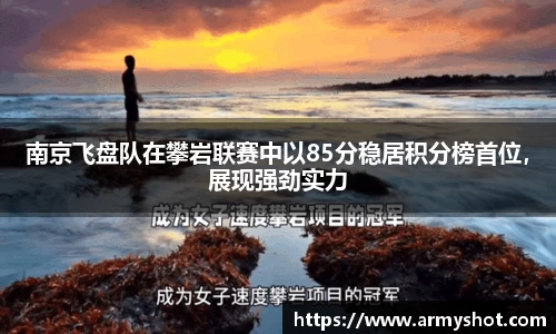 南京飞盘队在攀岩联赛中以85分稳居积分榜首位，展现强劲实力