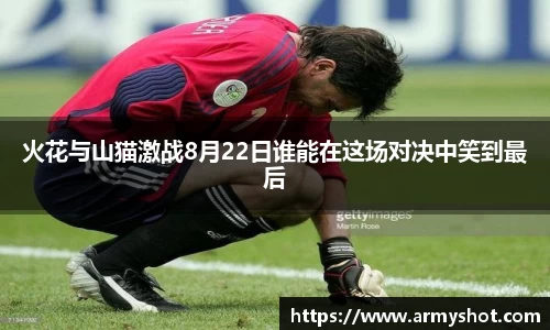 火花与山猫激战8月22日谁能在这场对决中笑到最后